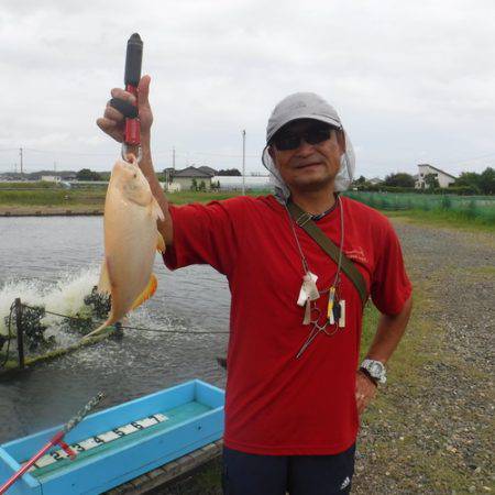 浜名湖フィッシングリゾート 釣果