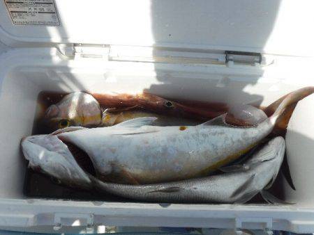 誠裕丸 釣果