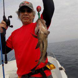 フィッシングボート空風(そらかぜ) 釣果