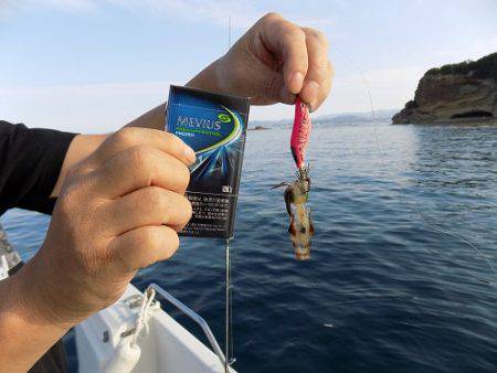 フィッシングボート空風(そらかぜ) 釣果