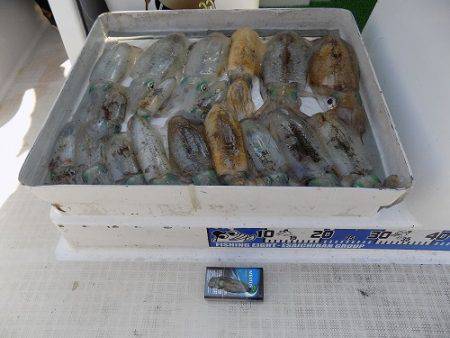 フィッシングボート空風(そらかぜ) 釣果