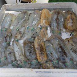 フィッシングボート空風(そらかぜ) 釣果