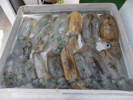 フィッシングボート空風(そらかぜ) 釣果