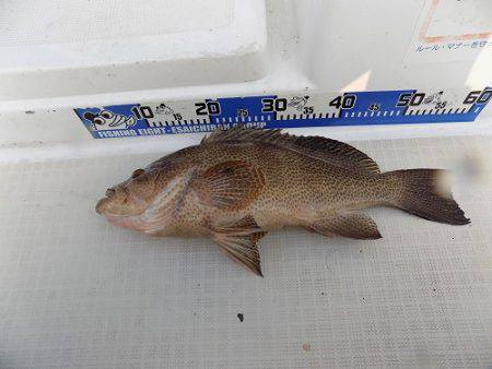 フィッシングボート空風(そらかぜ) 釣果