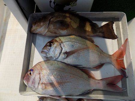 フィッシングボート空風(そらかぜ) 釣果