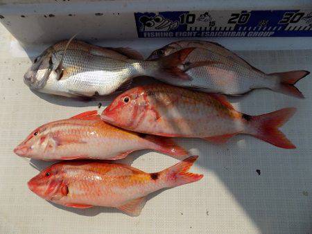 フィッシングボート空風(そらかぜ) 釣果