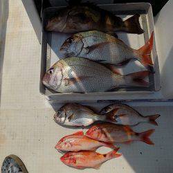 フィッシングボート空風(そらかぜ) 釣果