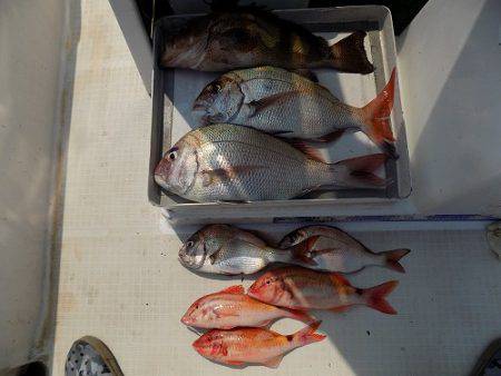 フィッシングボート空風(そらかぜ) 釣果