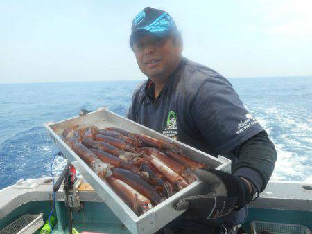 大進丸（愛知） 釣果