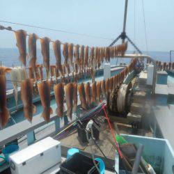 大進丸（愛知） 釣果