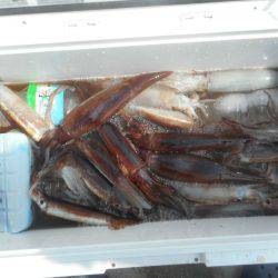 大進丸（愛知） 釣果