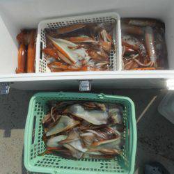 大進丸（愛知） 釣果