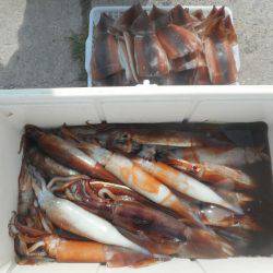 大進丸（愛知） 釣果