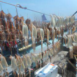 大進丸（愛知） 釣果