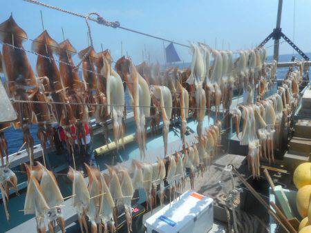 大進丸（愛知） 釣果