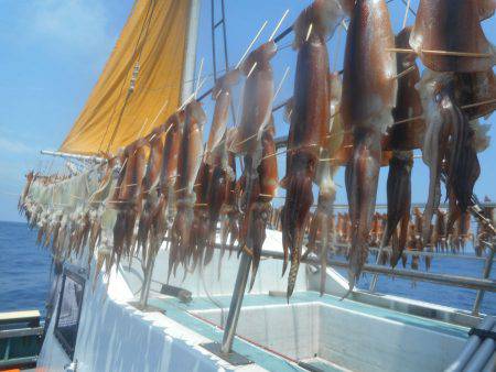 大進丸（愛知） 釣果