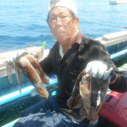 大進丸（愛知） 釣果