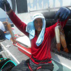 大進丸（愛知） 釣果