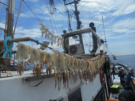 大進丸（愛知） 釣果