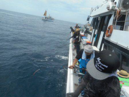 大進丸（愛知） 釣果