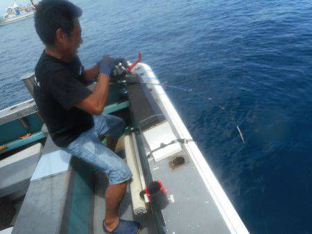 大進丸（愛知） 釣果