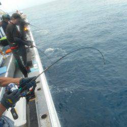 大進丸（愛知） 釣果