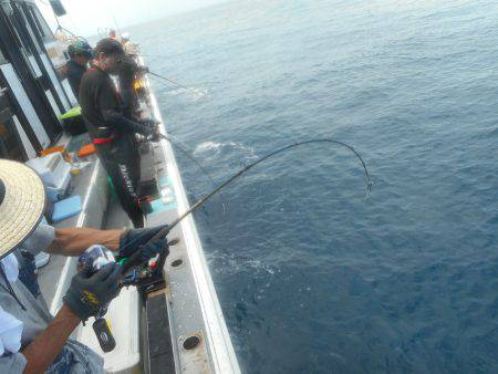 大進丸（愛知） 釣果