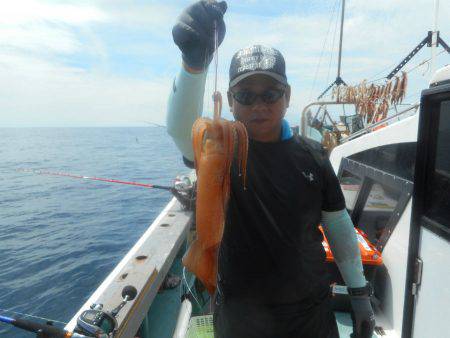 大進丸（愛知） 釣果