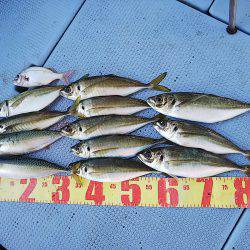 第二常豊丸 釣果