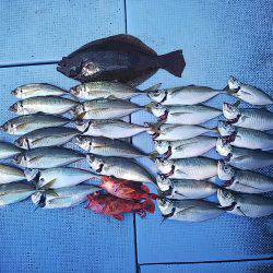 第二常豊丸 釣果