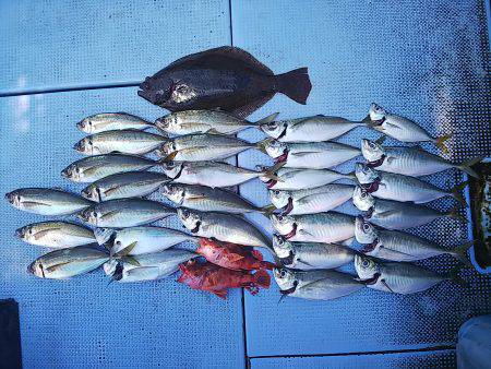 第二常豊丸 釣果