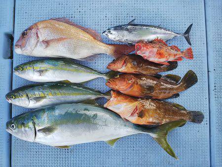 第二常豊丸 釣果