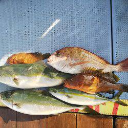 第二常豊丸 釣果