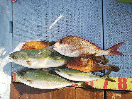 第二常豊丸 釣果