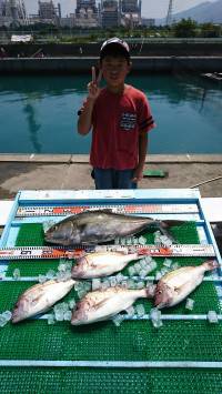 和歌山マリーナシティ釣り堀 釣果