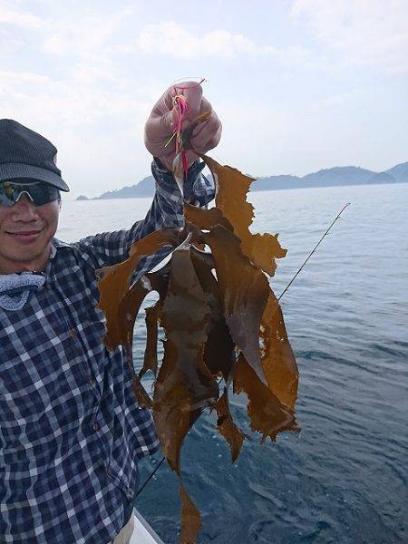 フィッシングボートACE(エース) 釣果