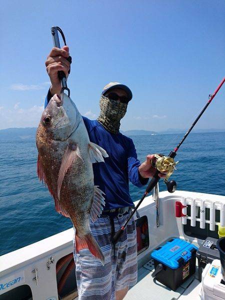 フィッシングボートACE(エース) 釣果