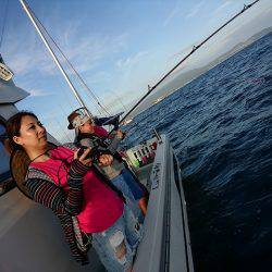 フィッシングボートACE（エース） 釣果