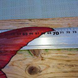 フィッシングボートACE（エース） 釣果