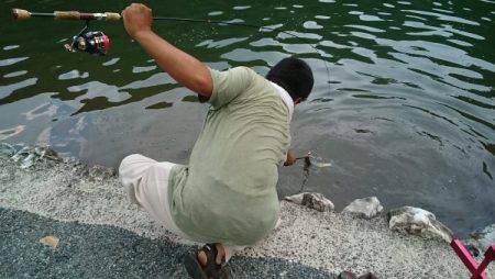 フィッシングエリア帝釈 釣果