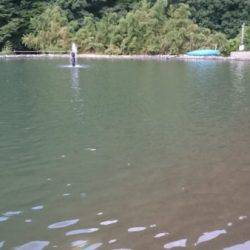 フィッシングエリア帝釈 釣果