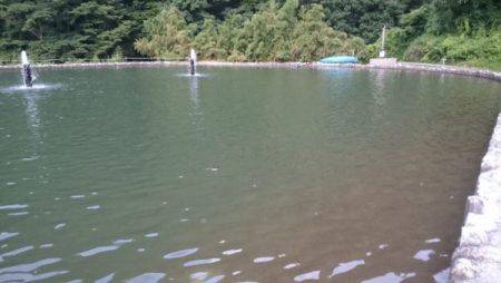 フィッシングエリア帝釈 釣果