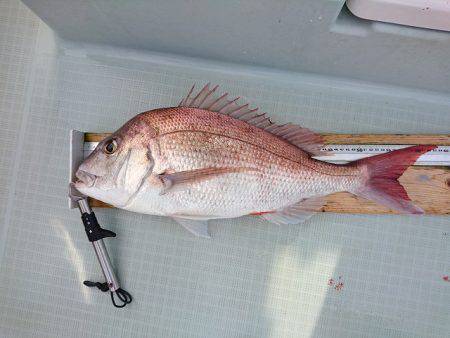 フィッシングボートACE（エース） 釣果