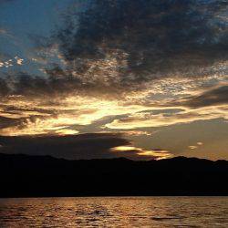 フィッシングボートACE(エース) 釣果