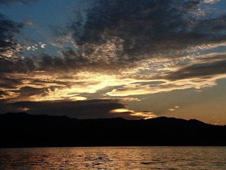 フィッシングボートACE(エース) 釣果