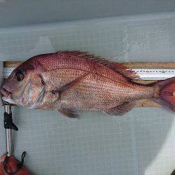 フィッシングボートACE(エース) 釣果