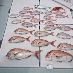 フィッシングボートACE(エース) 釣果