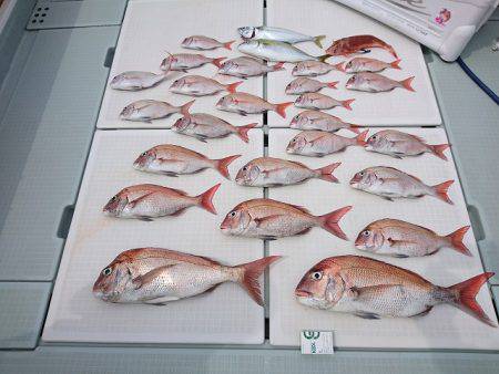 フィッシングボートACE(エース) 釣果