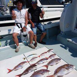 フィッシングボートACE(エース) 釣果