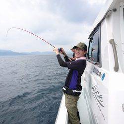 フィッシングボートACE(エース) 釣果